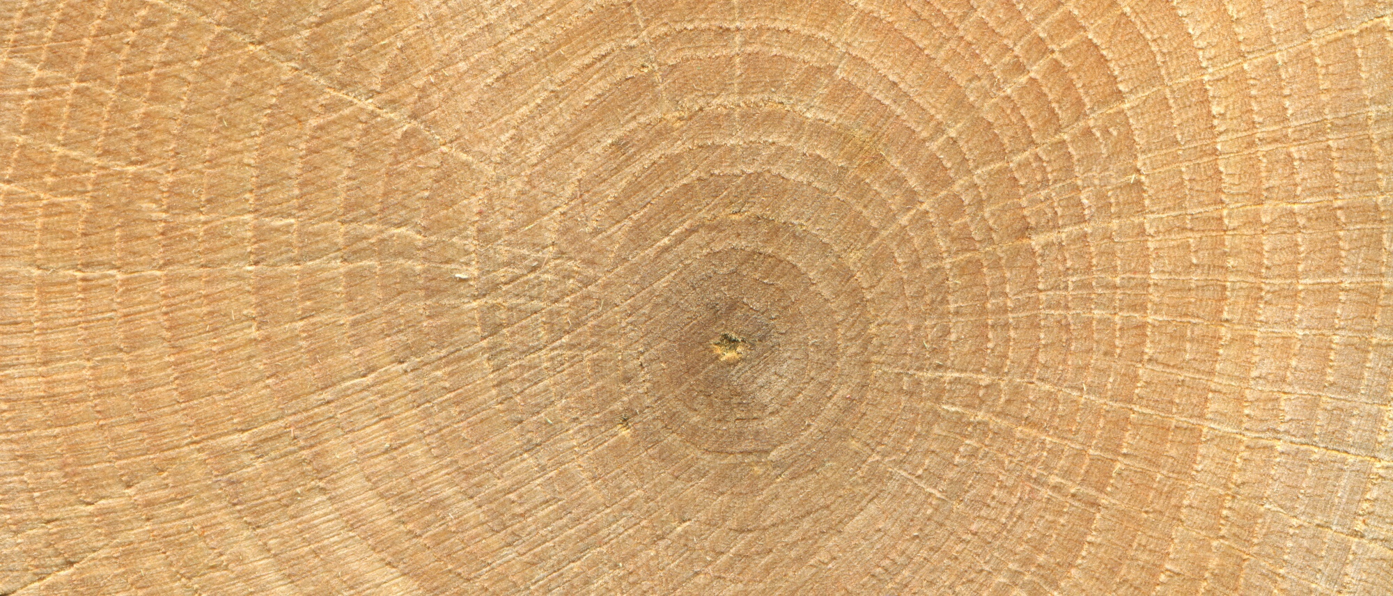 Different Cuts of Oak - Hewins Oak